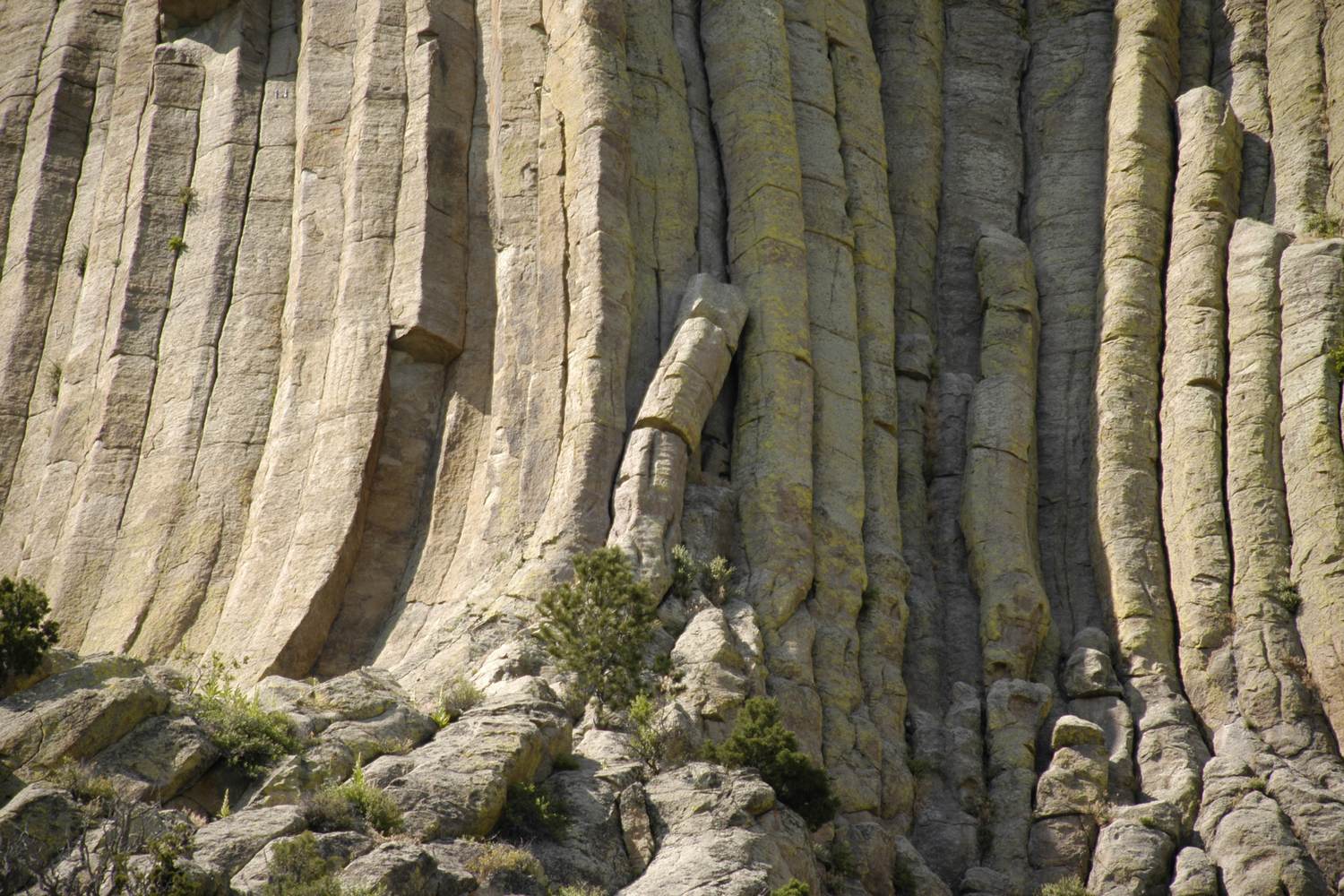 The fluted stone columns of Devils Tower, close up.