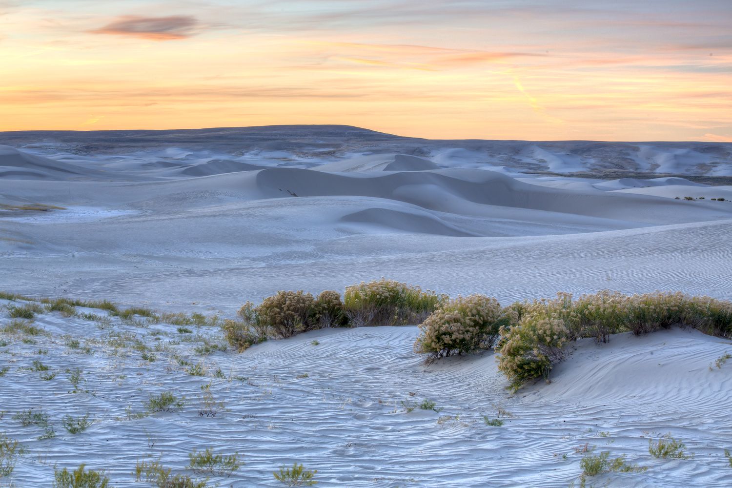 Pale dunes of the Killpecker sand field under a wide sky.
