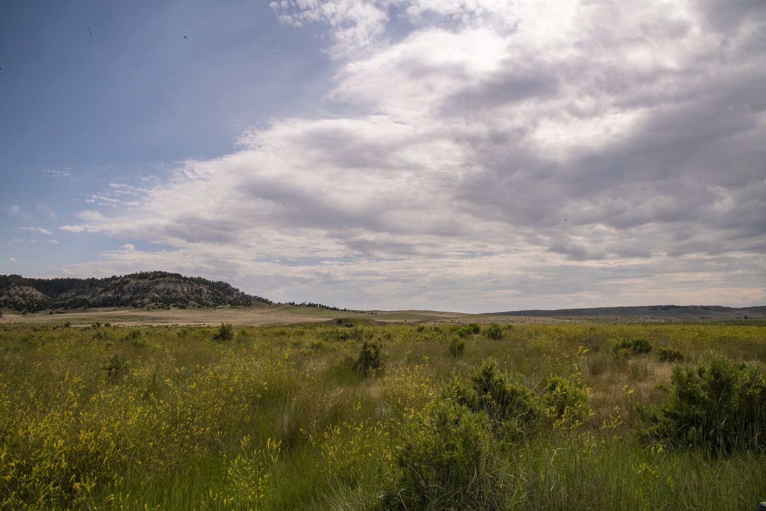 Grass and low buttes across the Thunder Basin National Grassland.